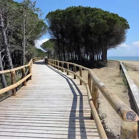 Apartamento In 38253 *